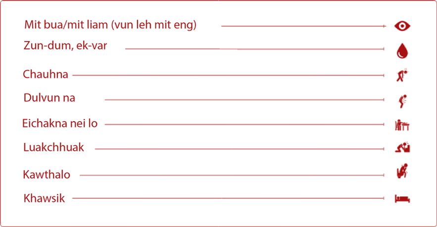 HBV_table_mizo