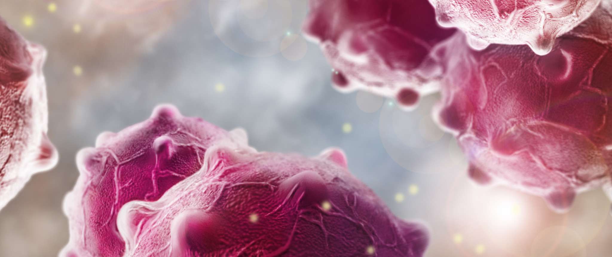 pancreatic banner